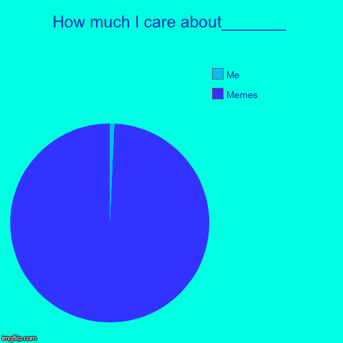 How much I care about_______ | Memes, Me | image tagged in funny,pie charts | made w/ Imgflip chart maker