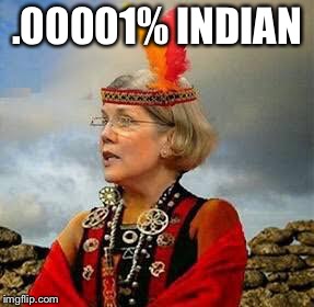 How ya like me now | .00001% INDIAN | image tagged in pocahontas warren lizzy,meme | made w/ Imgflip meme maker