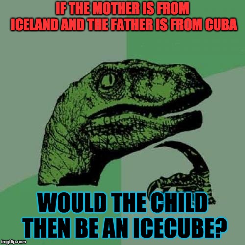 Philosoraptor | IF THE MOTHER IS FROM ICELAND AND THE FATHER IS FROM CUBA; WOULD THE CHILD THEN BE AN ICECUBE? | image tagged in memes,philosoraptor | made w/ Imgflip meme maker