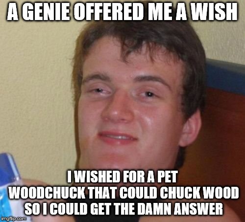 Just Put Me Out Of My Misery | A GENIE OFFERED ME A WISH; I WISHED FOR A PET WOODCHUCK THAT COULD CHUCK WOOD SO I COULD GET THE DAMN ANSWER | image tagged in memes,10 guy | made w/ Imgflip meme maker