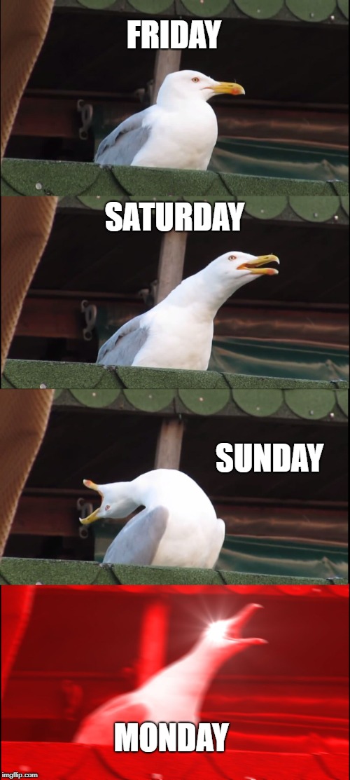 Inhaling Seagull | FRIDAY; SATURDAY; SUNDAY; MONDAY | image tagged in memes,inhaling seagull | made w/ Imgflip meme maker