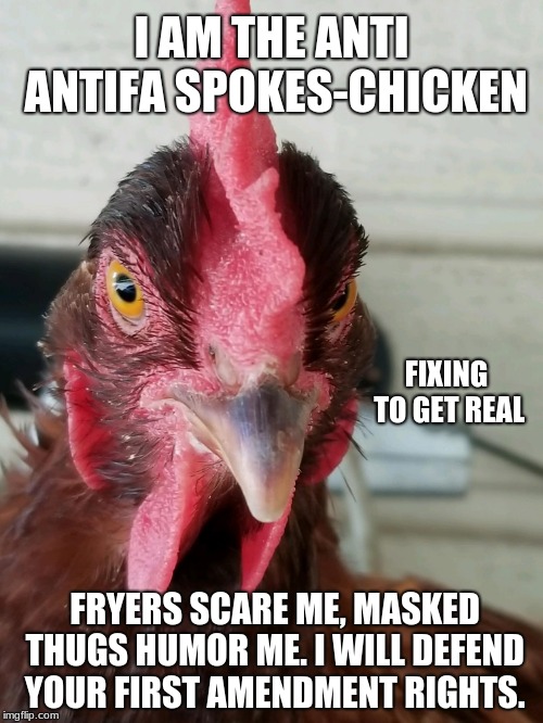 Anti Antifa Spokes Chicken | I AM THE ANTI ANTIFA SPOKES-CHICKEN; FIXING TO GET REAL; FRYERS SCARE ME, MASKED THUGS HUMOR ME.
I WILL DEFEND YOUR FIRST AMENDMENT RIGHTS. | image tagged in spokes chicken,antifa are fascists,anti first amendment | made w/ Imgflip meme maker