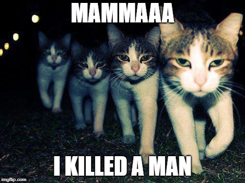 Wrong Neighboorhood Cats Meme | MAMMAAA; I KILLED A MAN | image tagged in memes,wrong neighboorhood cats | made w/ Imgflip meme maker