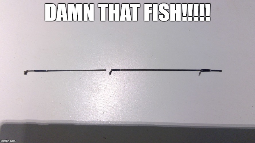 DAMN THAT FISH!!!!! | made w/ Imgflip meme maker