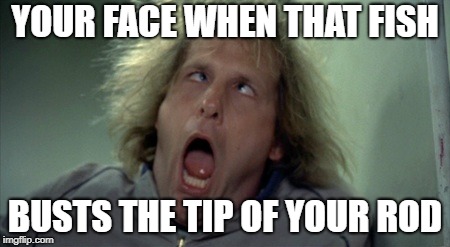 That's gonna hurt... | YOUR FACE WHEN THAT FISH; BUSTS THE TIP OF YOUR ROD | image tagged in memes,scary harry,fishing | made w/ Imgflip meme maker