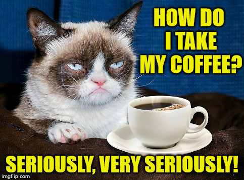 Grumpy Cat Coffee | HOW DO I TAKE MY COFFEE? SERIOUSLY, VERY SERIOUSLY! | image tagged in grumpy cat coffee,memes,so i guess you can say things are getting pretty serious | made w/ Imgflip meme maker