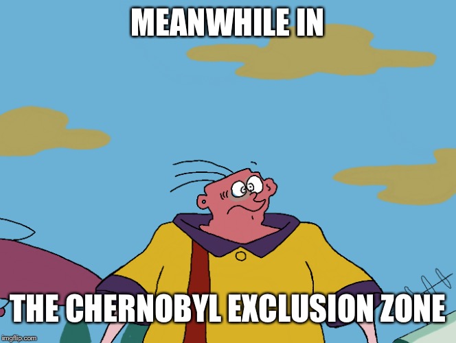 In Soviet Ukraine...reactor controls you! | MEANWHILE IN; THE CHERNOBYL EXCLUSION ZONE | image tagged in ussr,ukraine,chernobyl,meanwhile in,radiation,ed edd n eddy | made w/ Imgflip meme maker