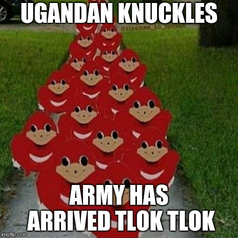 Ugandan knuckles army | UGANDAN KNUCKLES; ARMY HAS ARRIVED
TLOK TLOK | image tagged in ugandan knuckles army | made w/ Imgflip meme maker