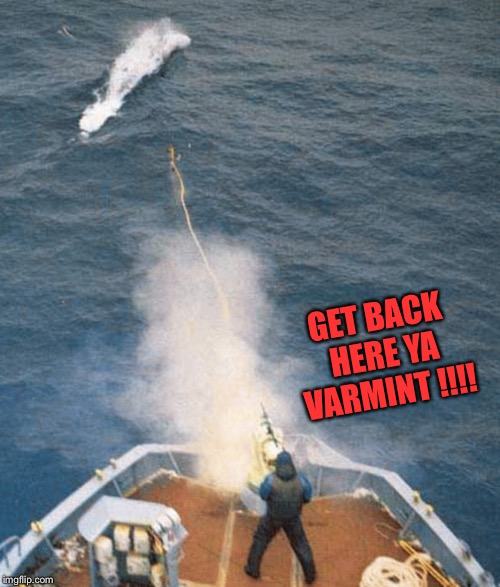 GET BACK HERE YA VARMINT !!!! | made w/ Imgflip meme maker