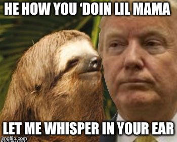 Political advice sloth | HE HOW YOU ‘DOIN LIL MAMA; LET ME WHISPER IN YOUR EAR | image tagged in political advice sloth | made w/ Imgflip meme maker