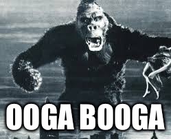 OOGA BOOGA | image tagged in monkey | made w/ Imgflip meme maker