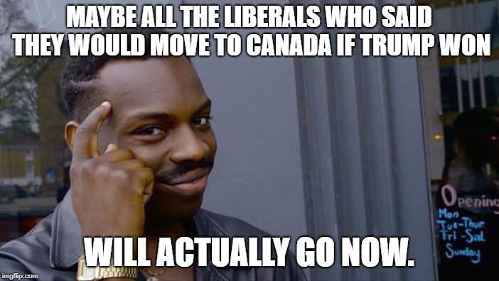 Roll Safe Think About It Meme | MAYBE ALL THE LIBERALS WHO SAID THEY WOULD MOVE TO CANADA IF TRUMP WON WILL ACTUALLY GO NOW. | image tagged in memes,roll safe think about it | made w/ Imgflip meme maker