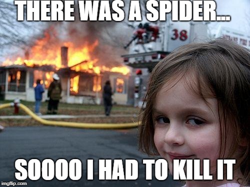 Disaster Girl Meme | THERE WAS A SPIDER... SOOOO I HAD TO KILL IT | image tagged in memes,disaster girl | made w/ Imgflip meme maker