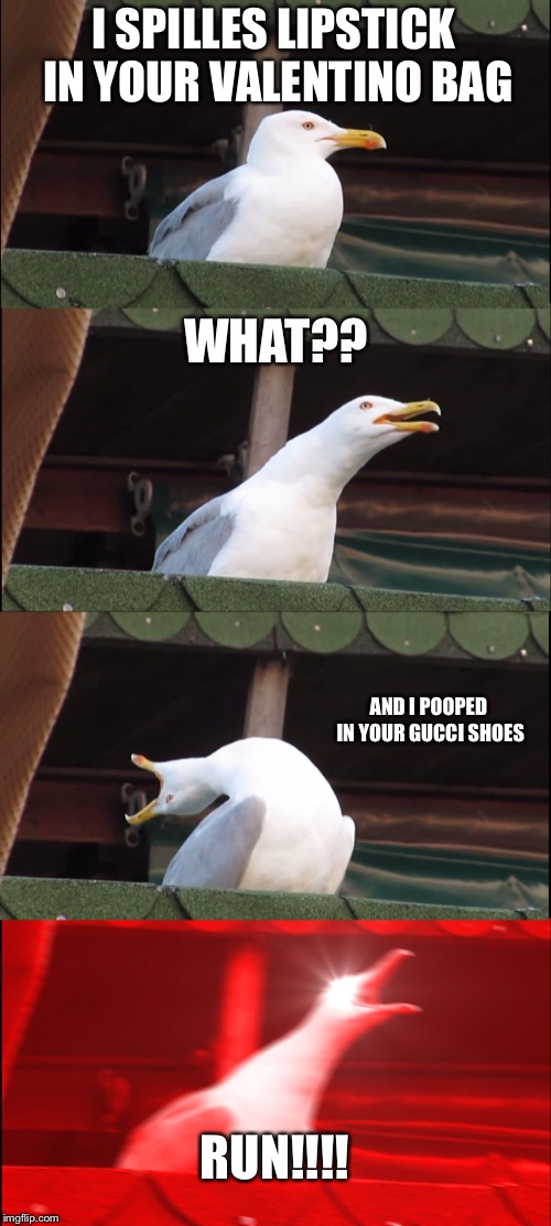 Inhaling Seagull Meme | I SPILLES LIPSTICK IN YOUR VALENTINO BAG; WHAT?? AND I POOPED IN YOUR GUCCI SHOES; RUN!!!! | image tagged in memes,inhaling seagull | made w/ Imgflip meme maker