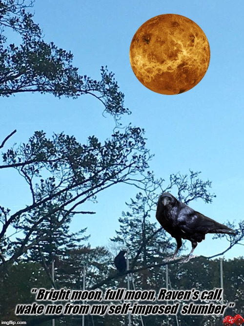 " Bright moon, full moon, Raven's call, wake me from my self-imposed  slumber " | image tagged in raven moon | made w/ Imgflip meme maker