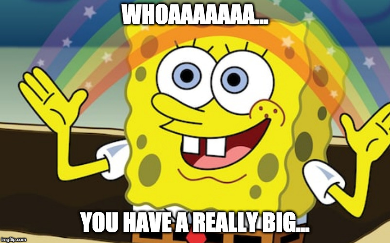 WHOAAAAAAA... YOU HAVE A REALLY BIG... | made w/ Imgflip meme maker