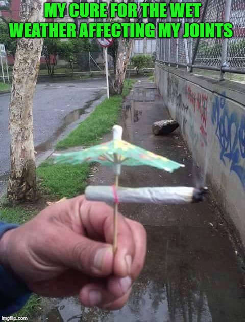 fair weather joint |  MY CURE FOR THE WET WEATHER AFFECTING MY JOINTS | image tagged in umbrella,joint | made w/ Imgflip meme maker