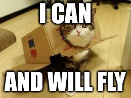 I CAN; AND WILL FLY | image tagged in cat | made w/ Imgflip meme maker