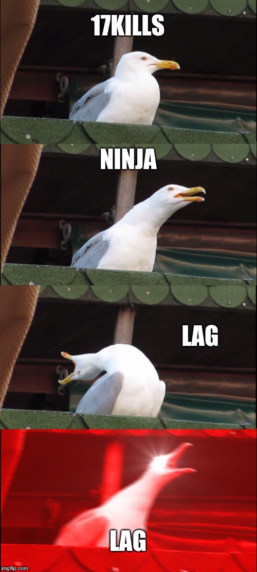 Inhaling Seagull Meme | 17KILLS; NINJA; LAG; LAG | image tagged in memes,inhaling seagull | made w/ Imgflip meme maker