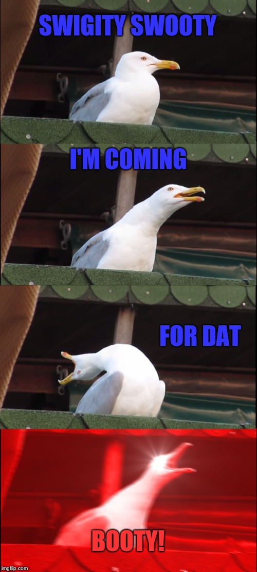 Inhaling Seagull | SWIGITY SWOOTY; I'M COMING; FOR DAT; BOOTY! | image tagged in memes,inhaling seagull | made w/ Imgflip meme maker