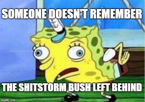 Mocking Spongebob Meme | SOMEONE DOESN'T REMEMBER THE SHITSTORM BUSH LEFT BEHIND | image tagged in memes,mocking spongebob | made w/ Imgflip meme maker