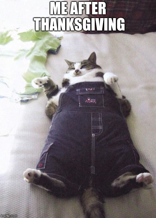 Fat Cat Meme | ME AFTER THANKSGIVING | image tagged in memes,fat cat | made w/ Imgflip meme maker