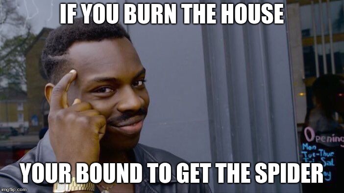 Roll Safe Think About It Meme | IF YOU BURN THE HOUSE YOUR BOUND TO GET THE SPIDER | image tagged in memes,roll safe think about it | made w/ Imgflip meme maker