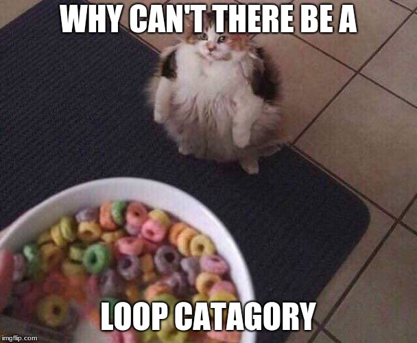 Fruit Loops | WHY CAN'T THERE BE A LOOP CATAGORY | image tagged in fruit loops | made w/ Imgflip meme maker