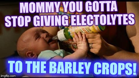 MOMMY YOU GOTTA STOP GIVING ELECTOLYTES TO THE BARLEY CROPS! | made w/ Imgflip meme maker