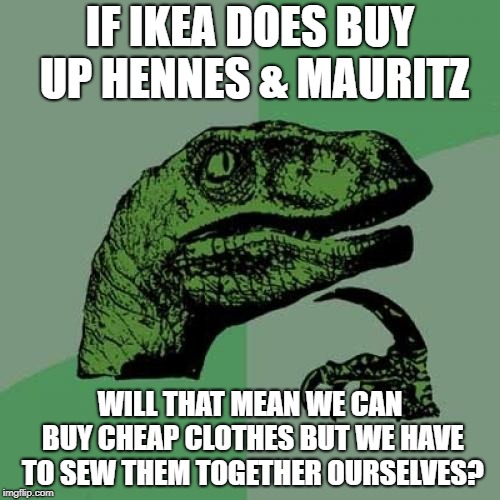 Philosoraptor | IF IKEA DOES BUY UP HENNES & MAURITZ; WILL THAT MEAN WE CAN BUY CHEAP CLOTHES BUT WE HAVE TO SEW THEM TOGETHER OURSELVES? | image tagged in memes,philosoraptor | made w/ Imgflip meme maker