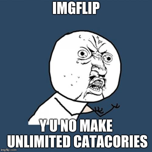 Y U No Meme | IMGFLIP; Y U NO MAKE UNLIMITED CATACORIES | image tagged in memes,y u no | made w/ Imgflip meme maker