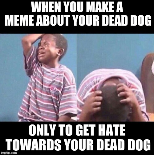 It's true you know | WHEN YOU MAKE A MEME ABOUT YOUR DEAD DOG; ONLY TO GET HATE TOWARDS YOUR DEAD DOG | image tagged in memes,crying boy,hard truth,max the sarcastic dog | made w/ Imgflip meme maker