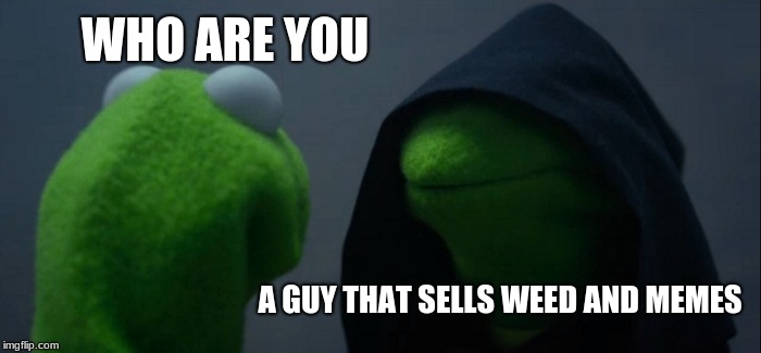 Evil Kermit | WHO ARE YOU; A GUY THAT SELLS WEED AND MEMES | image tagged in memes,evil kermit | made w/ Imgflip meme maker