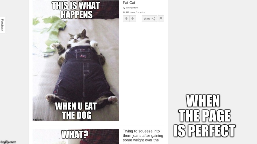 When you find the Image is perfect | WHEN THE PAGE IS PERFECT | image tagged in fat cat,memes,cats,dogs,korea,food | made w/ Imgflip meme maker