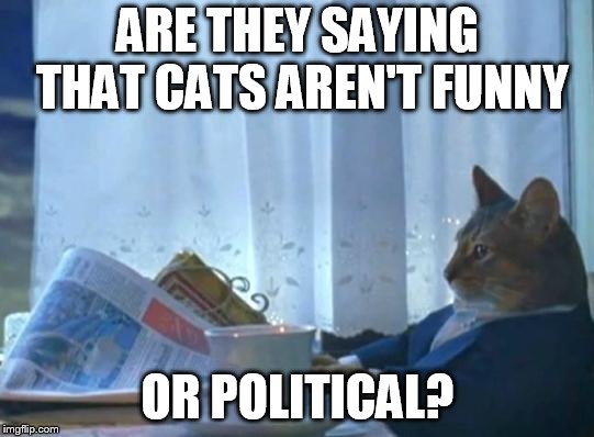 Cat newspaper | ARE THEY SAYING THAT CATS AREN'T FUNNY; OR POLITICAL? | image tagged in cat newspaper | made w/ Imgflip meme maker