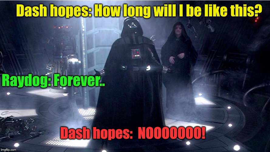 Dash hopes: How long will I be like this? Raydog: Forever.. Dash hopes:  NOOOOOOO! | image tagged in darth vader no | made w/ Imgflip meme maker