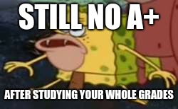 Spongegar | STILL NO A+; AFTER STUDYING YOUR WHOLE GRADES | image tagged in memes,spongegar | made w/ Imgflip meme maker