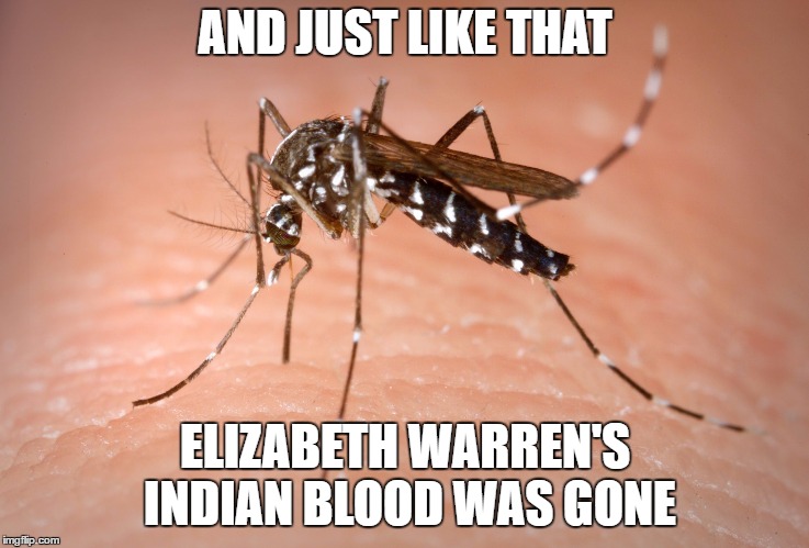 mosquito  | AND JUST LIKE THAT; ELIZABETH WARREN'S INDIAN BLOOD WAS GONE | image tagged in mosquito,random | made w/ Imgflip meme maker