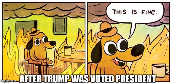 This Is Fine | AFTER TRUMP WAS VOTED PRESIDENT | image tagged in this is fine dog | made w/ Imgflip meme maker