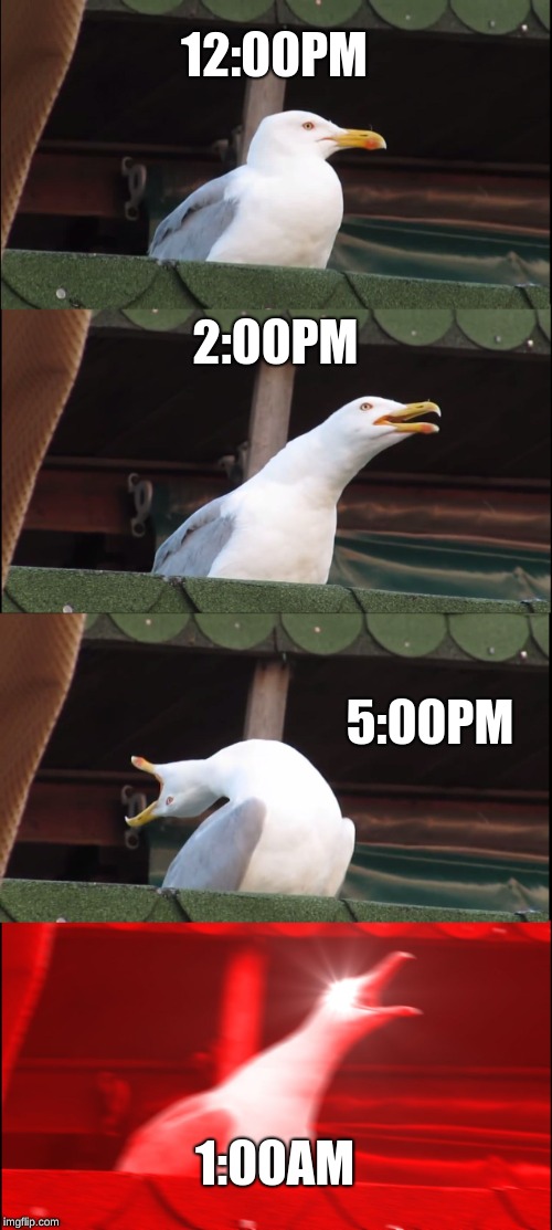 Inhaling Seagull | 12:00PM; 2:00PM; 5:00PM; 1:00AM | image tagged in memes,inhaling seagull | made w/ Imgflip meme maker