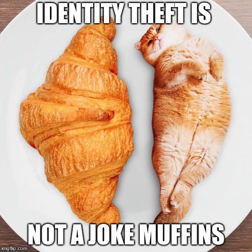 Identity theft | IDENTITY THEFT IS; NOT A JOKE MUFFINS | image tagged in identity theft | made w/ Imgflip meme maker