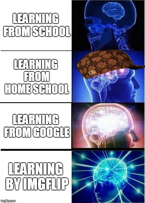 Expanding Brain Meme | LEARNING FROM SCHOOL; LEARNING FROM HOME SCHOOL; LEARNING FROM GOOGLE; LEARNING BY IMGFLIP | image tagged in memes,expanding brain,scumbag | made w/ Imgflip meme maker