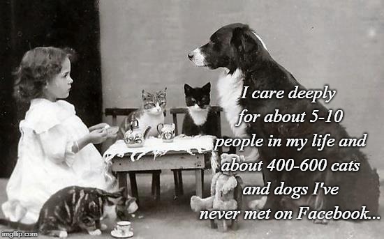 Deeply care... | I care deeply for about 5-10 people in my life and about 400-600 cats and dogs I've never met on Facebook... | image tagged in cats,dogs,people,facebook | made w/ Imgflip meme maker