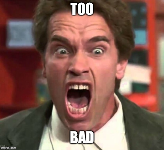 Arnold yelling | TOO BAD | image tagged in arnold yelling | made w/ Imgflip meme maker