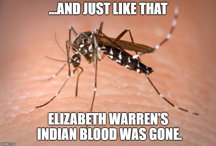 mosquito  | ...AND JUST LIKE THAT; ELIZABETH WARREN'S INDIAN BLOOD WAS GONE. | image tagged in mosquito,meme,warren,indian,pocahantas,fauxcahantas | made w/ Imgflip meme maker