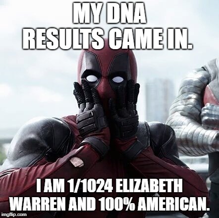 Deadpool Surprised | MY DNA RESULTS CAME IN. I AM 1/1024 ELIZABETH WARREN AND 100% AMERICAN. | image tagged in memes,deadpool surprised | made w/ Imgflip meme maker