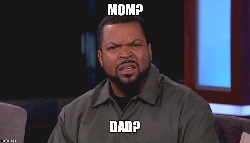 Really? Ice Cube | MOM? DAD? | image tagged in really ice cube | made w/ Imgflip meme maker