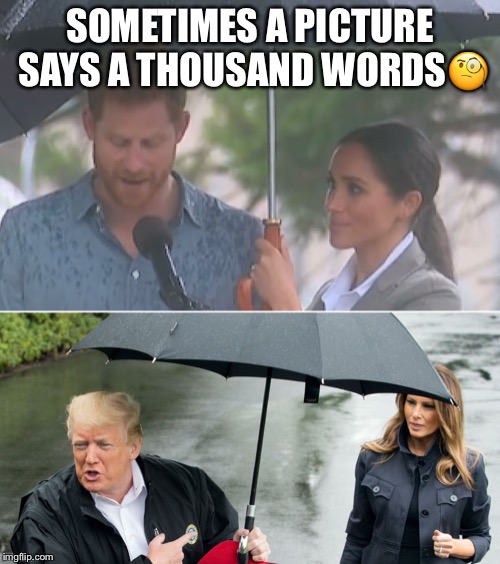 Sometimes a picture says a thousand words... | SOMETIMES A PICTURE SAYS A THOUSAND WORDS🧐 | image tagged in donald trump,melania trump,prince harry,meghan markle | made w/ Imgflip meme maker