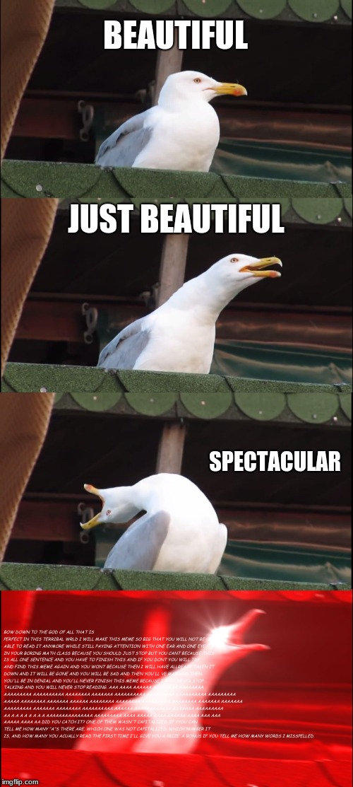 Inhaling Seagull | BEAUTIFUL; JUST BEAUTIFUL; SPECTACULAR; BOW DOWN TO THE GOD OF ALL THAT IS PERFECT IN THIS TERRIBAL WRLD I WILL MAKE THIS MEME SO BIG THAT YOU WILL NOT BE ABLE TO READ IT ANYMORE WHILE STILL PAYING ATTENTION WITH ONE EAR AND ONE EYE IN YOUR BORING MATH CLASS BECAUSE YOU SHOULD JUST STOP BUT YOU CANT BECAUSE THIS IS ALL ONE SENTENCE AND YOU HAVE TO FINISH THIS AND IF YOU DONT YOU WILL TRY AND FIND THIS MEME AGAIN AND YOU WONT BECAUSE THEN I WILL HAVE ALLREADY TAKEN IT DOWN AND IT WILL BE GONE AND YOU WILL BE SAD AND THEN YOU'LL VE MAD AND THEN YOU'LL BE IN DENIAL AND YOU'LL NEVER FINISH THIS MEME BECAUSE I WILL NEVER STOP TALKING AND YOU WILL NEVER STOP READING. AAA AAAA AAAAAA AAAAAAAA AAAAAAAA AAAAAAAAA AAAAAAAAAA AAAAAAAA AAAAAAA AAAAAAAAAA AAAAAAAAA AAAAAAAAAA AAAAAAAAA AAAAA AAAAAAAA AAAAAAA AAAAAA AAAAAAAA AAAAAAAA AAAAAAAA A AAAAAAAA AAAAAAA AAAAAAA AAAAAAAAA AAAAAAA AAAAAAAA AAAAAAAAAA AAAAAA AAAAAAAAAAAA AAAAAAA AAAAAAAAA AA A A A A A A A A AAAAAAAAAAAAAAA AAAAAAAAA AAAA AAAAA AAAA AAAAAA AAAA AAA AAA AAAAA AAAA AA DID YOU CATCH IT? ONE OF THEM WASN'T CAPITALIZED. IF YYOU CAN TELL ME HOW MANY "A"S THERE ARE, WHICH ONE WAS NOT CAPITALIZED, WHICH NUMBER IT IS, AND HOW MANY YOU ACUALLY READ THE FIRST TIME I'LL GIVE YOU A PRIZE. A BONUS IF YOU TELL ME HOW MANY WORDS I MISSPELLED. | image tagged in memes,inhaling seagull | made w/ Imgflip meme maker