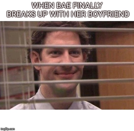WHEN BAE FINALLY BREAKS UP WITH HER BOYFRIEND | image tagged in funny memes,the office,life goals | made w/ Imgflip meme maker